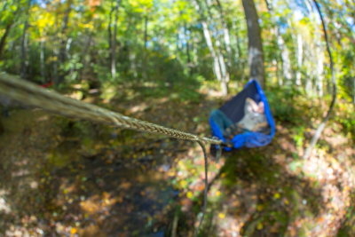 Eno Helios Ultralight Suspension System