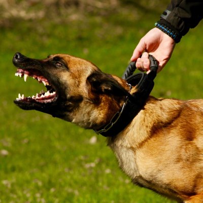 MDT K9 Pro Cobra Duty Dog Collar with Handle Grip 45mm