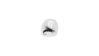 Wiggler Hurricane Fly Torrfluga - Klinkhamer Svart #12
