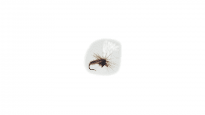 Wiggler Hurricane Fly Torrfluga - Klinkhamer Brun #12
