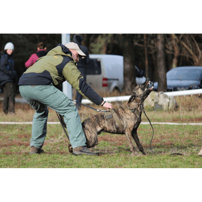 K9 Thorn Delta Dog Harness