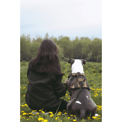 K9 Thorn Delta Dog Harness