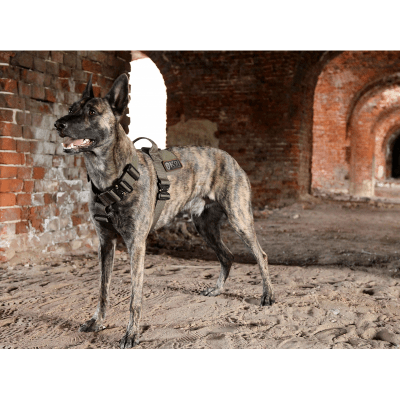 K9 Thorn Delta Dog Harness