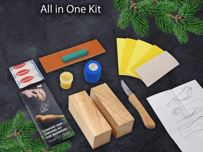 BeaverCraft DIY01 Woodcarving Set With Palm Chisels