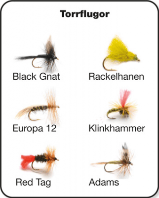 Darts Torrfluge Kit 6 Pack