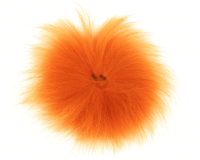 Fly-Dressing Arctic Fox