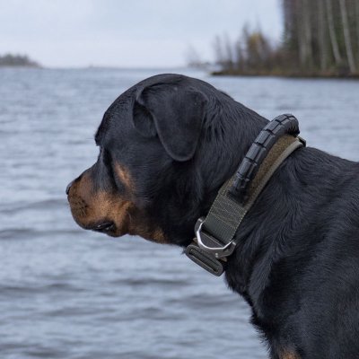 MDT K9 Pro Cobra Duty Dog Collar with Handle Grip 45mm