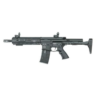 ICS CXP HOG QRS AEG