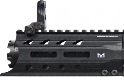 G&G ARP 556 AEG
