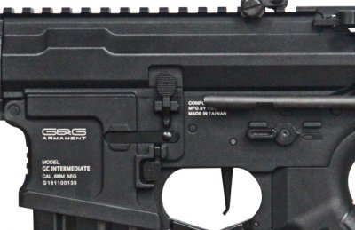 G&G ARP 556 AEG