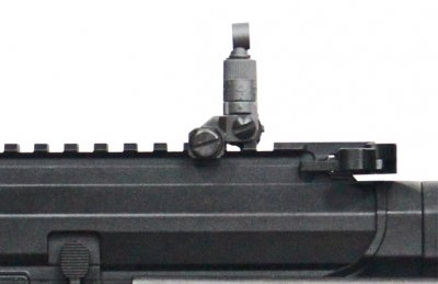 G&G ARP 556 AEG