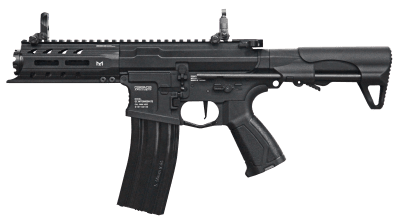 G&G ARP 556 AEG
