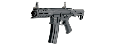 G&G ARP 556 AEG