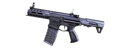 G&G ARP 556 V2S AEG