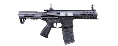 G&G ARP 556 V2S AEG