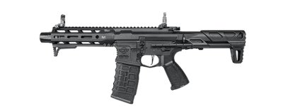 G&G ARP 556 2.0 AEG
