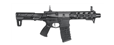 G&G ARP 556 2.0 AEG