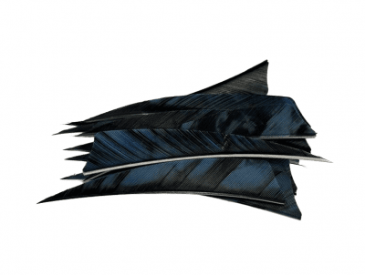 Trueflight Feathers 4" LW Shield 12st (Färg: Tre Blue)