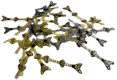 J:son Realistic Wing Bud Stonefly Mix Sulphur/Tan/Dun 24pack