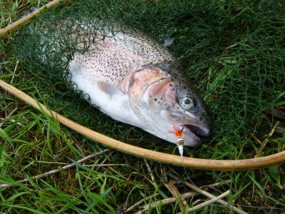 Bombarda Inno Trout Bait Holder Float