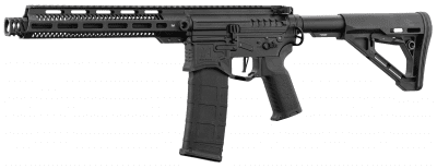 Zion Arms R&D R15 Mod1 AEG