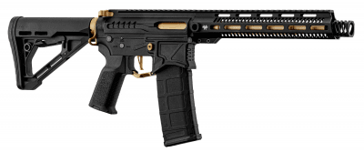 Zion Arms R15 MOD 1 Long AEG 6mm - Svart/Guld