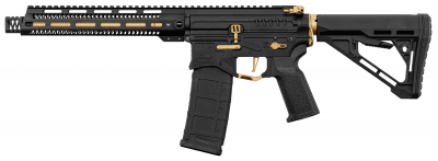 Zion Arms R15 MOD 1 Long AEG 6mm - Svart/Guld