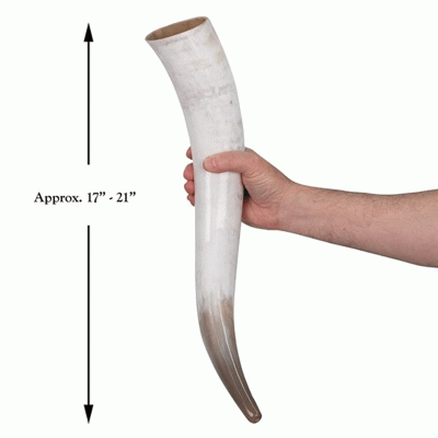 Windlass Drinking Horn Loki's Oversized With Stand