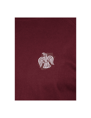 Ragnar Raids Midgard The Raven T-Shirt
