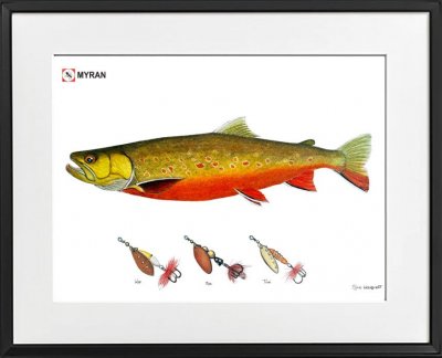 Myran Poster with Frame