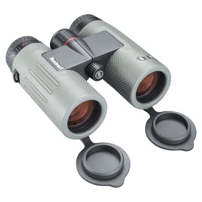 Bushnell Nitro 10X36 Gun Metal Gray Roof