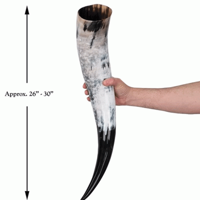 Windlass Drinking Horn Odin Oversized With Stand