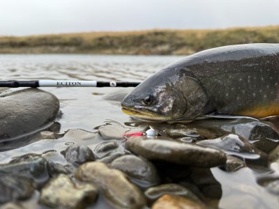 Myran Eciton Finesse Haspelspö