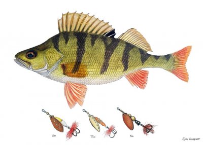 Myran Poster with Frame