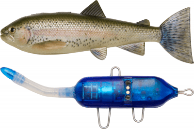 Pulz Bait Starter Kit 15cm 58g