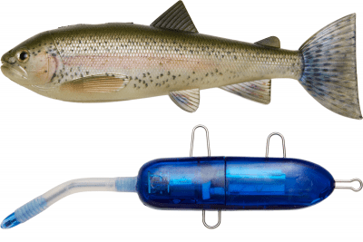 Pulz Bait Starter Kit 20cm 120g