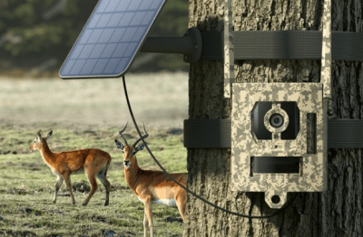 Reolink Security Box
