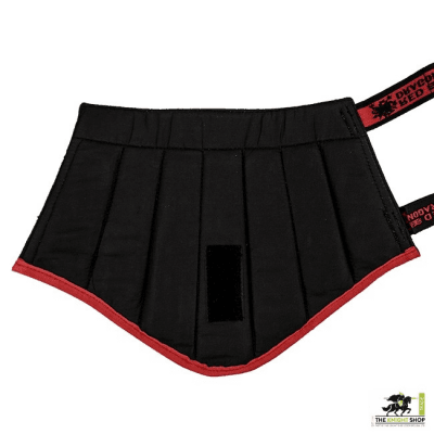 Red Dragon HEMA Forearm and Elbow Protectors