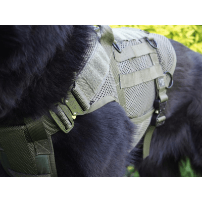 K9 Thorn Tactical Dog Vest
