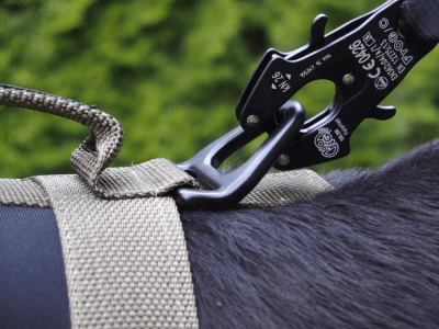 K9 Thorn Bravo Dog Harness