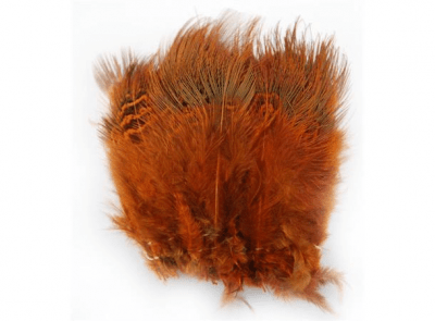 Fly-Dressing Ringneck Rump Hackle