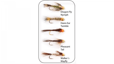 Wiggler Hurricane Fly Flugkollektion - Goldheads Long Shank 5p #10