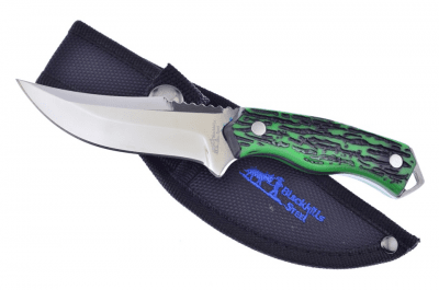 Blackhills Bloodhound Bowie